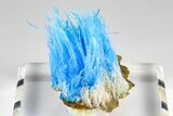 Vibrant Blue Chalcanthite - Planet Mine, Arizona #181703-5